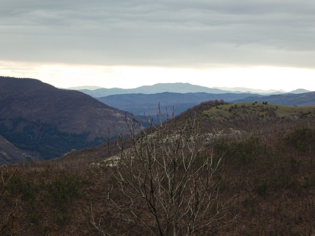 photo18.jpg