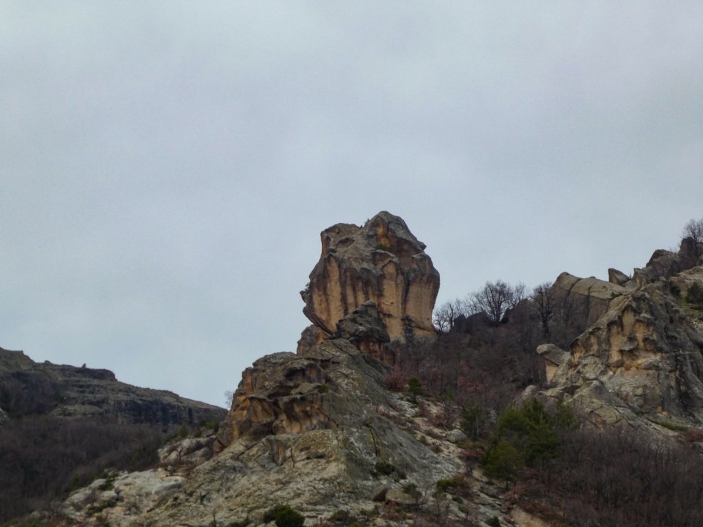 photo6.jpg