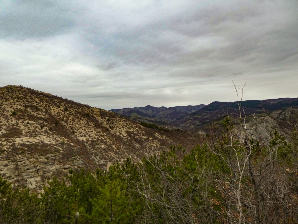 photo8.jpg