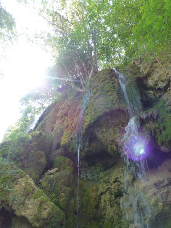 photo7.jpg