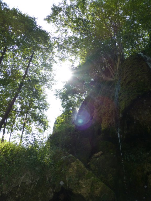 photo9.jpg