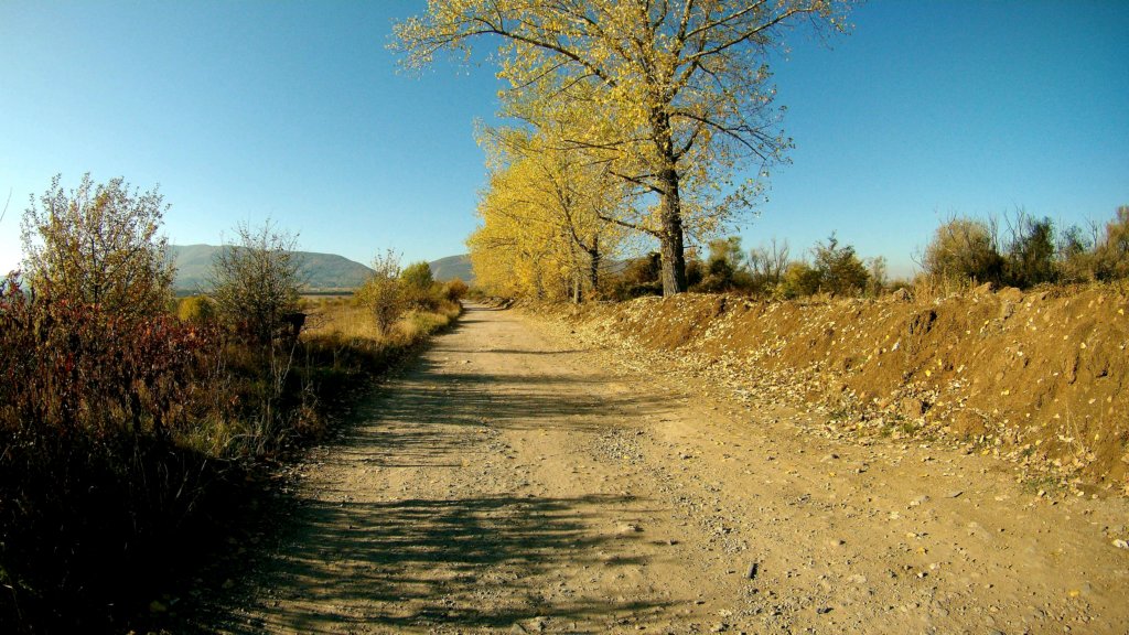 photo34.jpg
