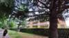 arese11_small.jpg