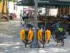 luxembourg27_small.jpg