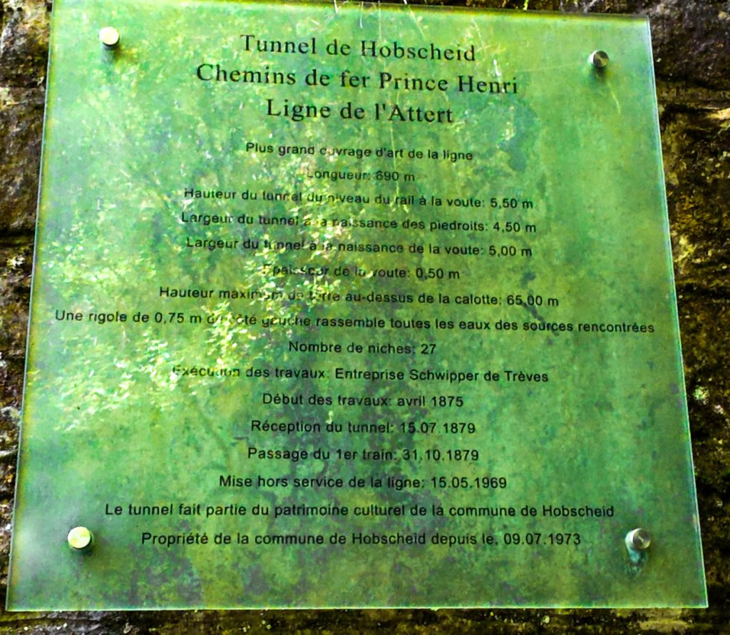 photo7.jpg