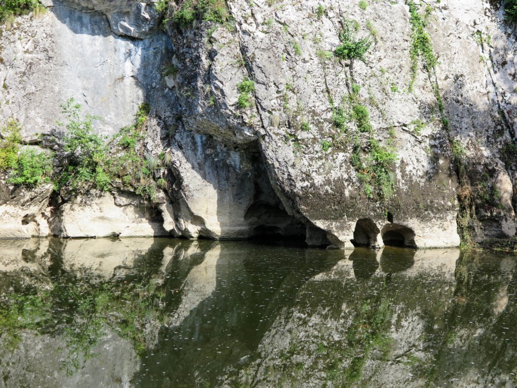 photo7.jpg