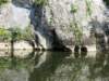 photo7_small.jpg