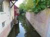 shertogenbosch13_small.jpg