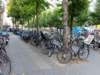 shertogenbosch31_small.jpg