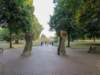 shertogenbosch38_small.jpg
