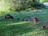photo7_small.jpg
