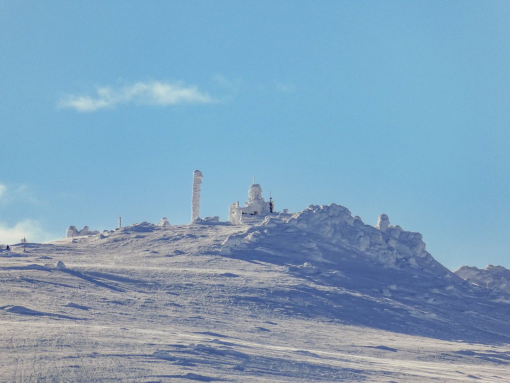 photo15.jpg