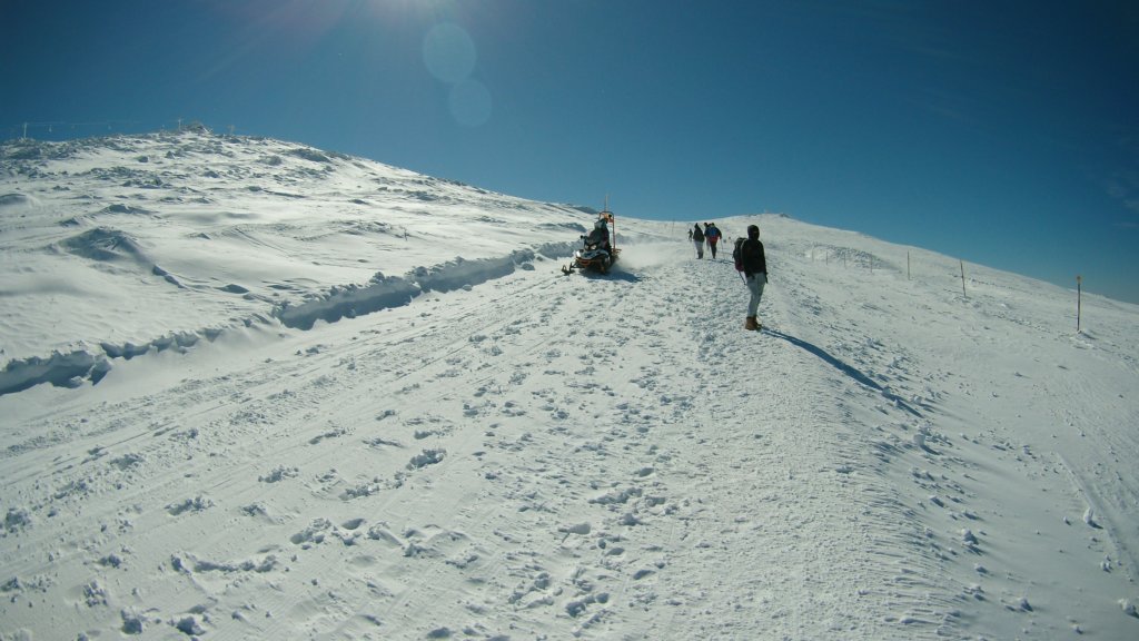 photo20.jpg