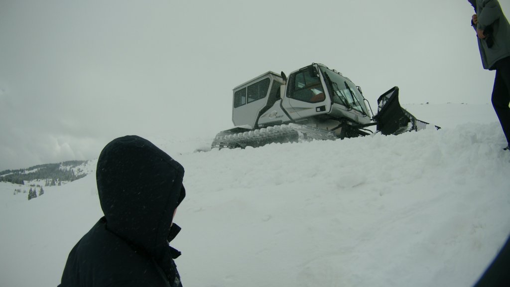 photo11.jpg