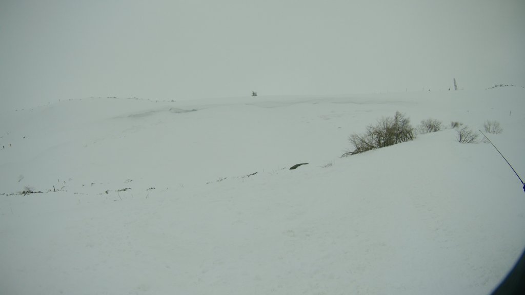 photo6.jpg