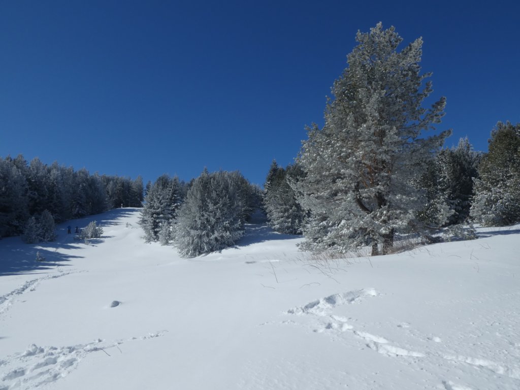 photo11.jpg