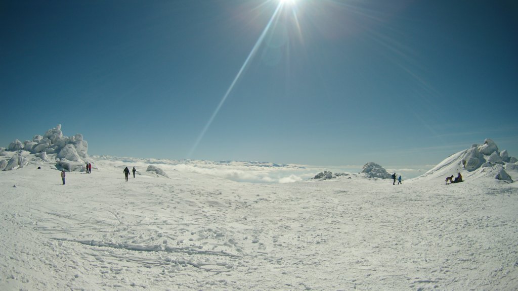 photo41.jpg