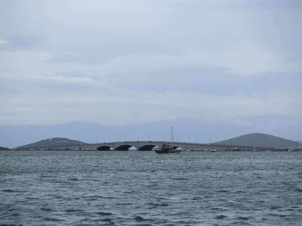 photo11.jpg