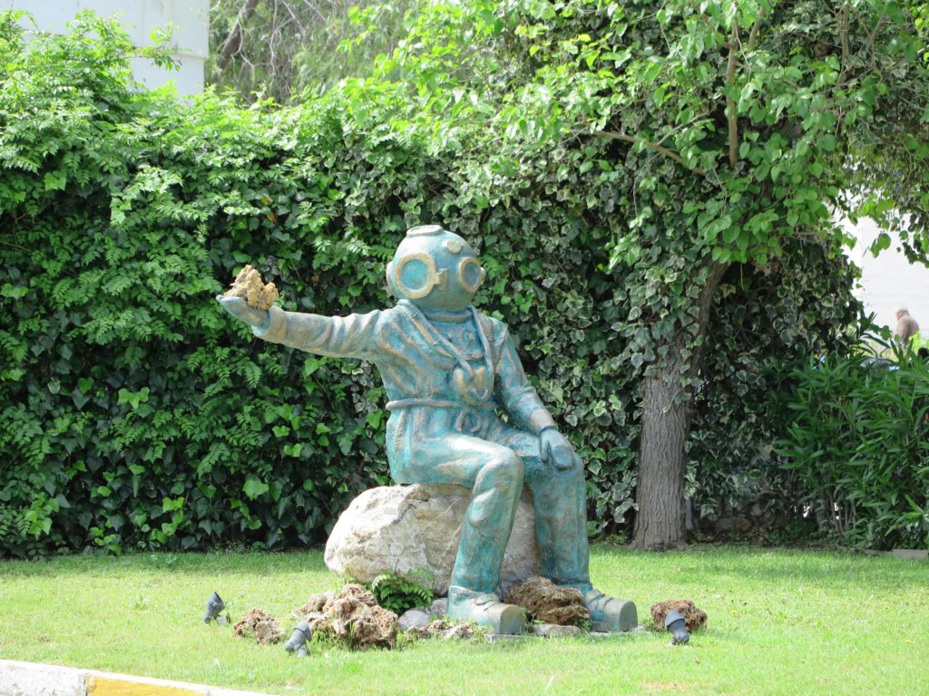 photo33.jpg