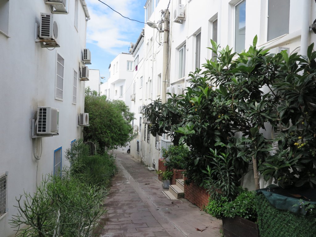 photo6.jpg