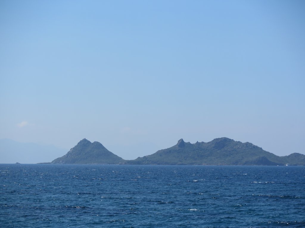 photo61.jpg