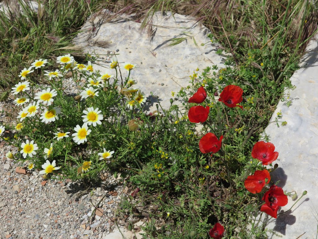 photo21.jpg