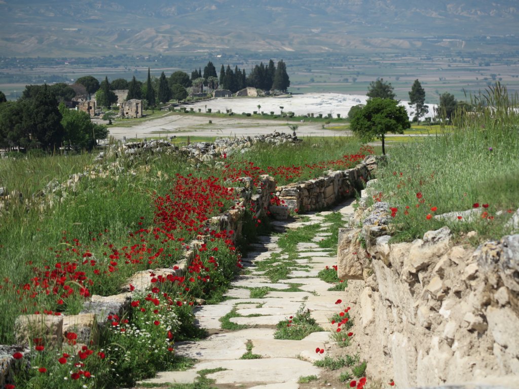 photo16.jpg