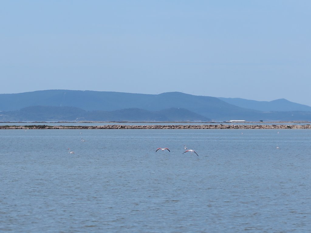 photo16.jpg