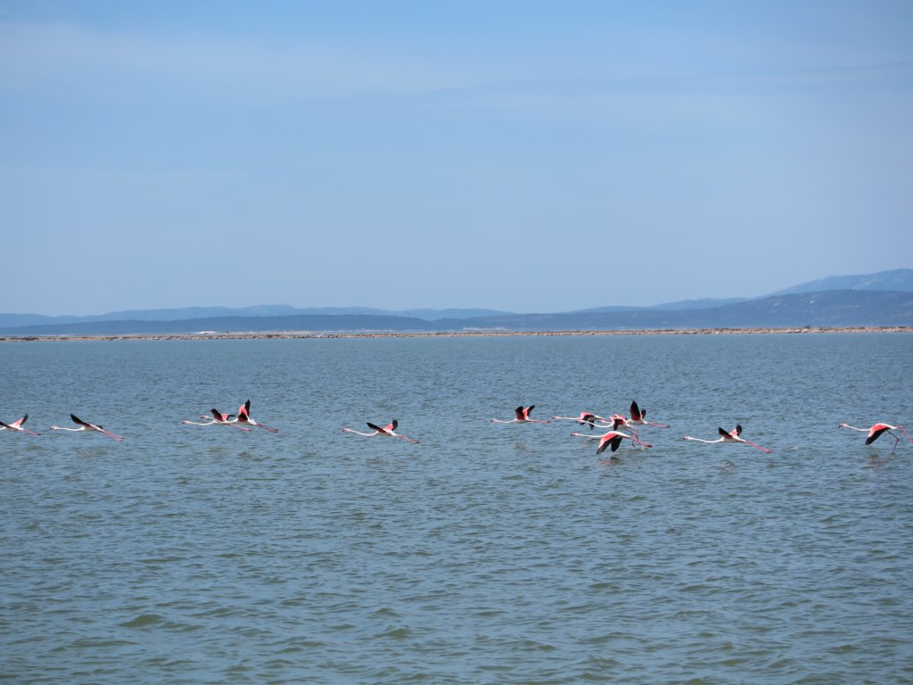photo8.jpg