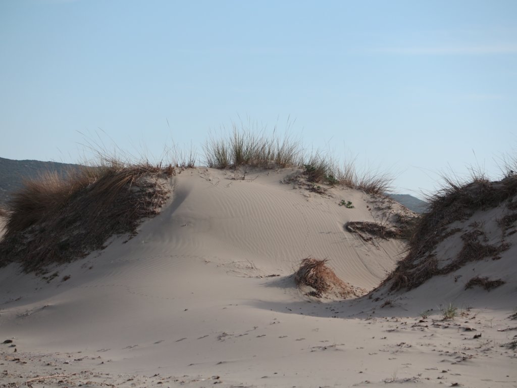 photo22.jpg
