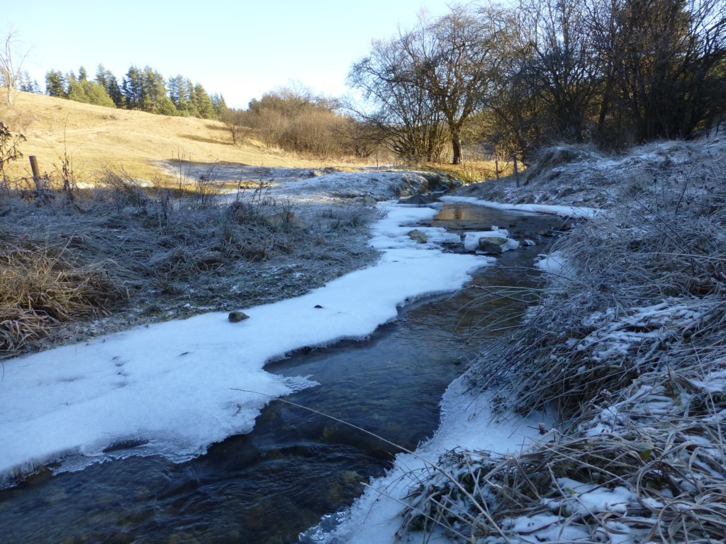 photo8.jpg