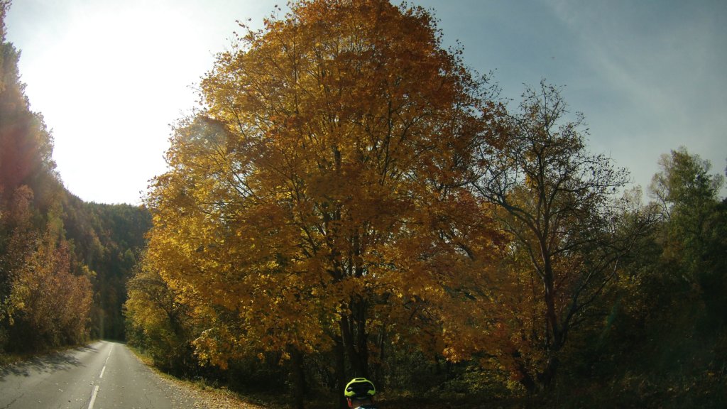 photo23.jpg