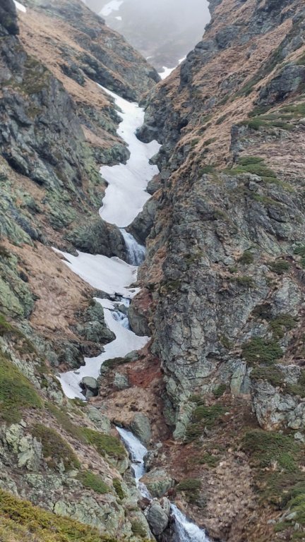 photo35.jpg