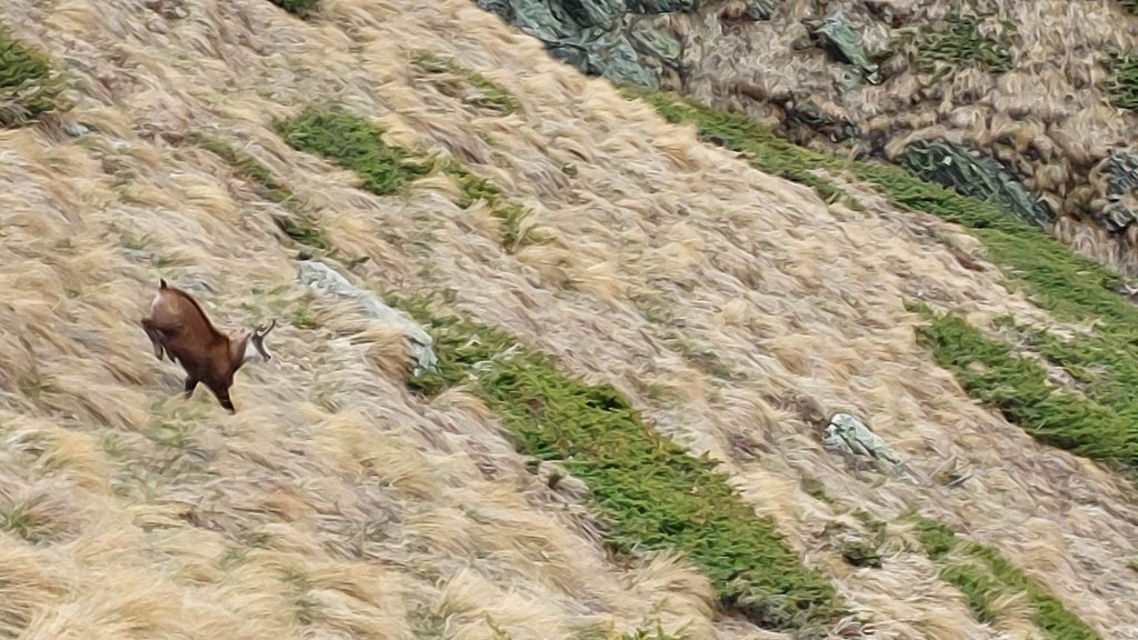 photo37.jpg