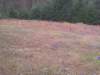 photo74_small.jpg