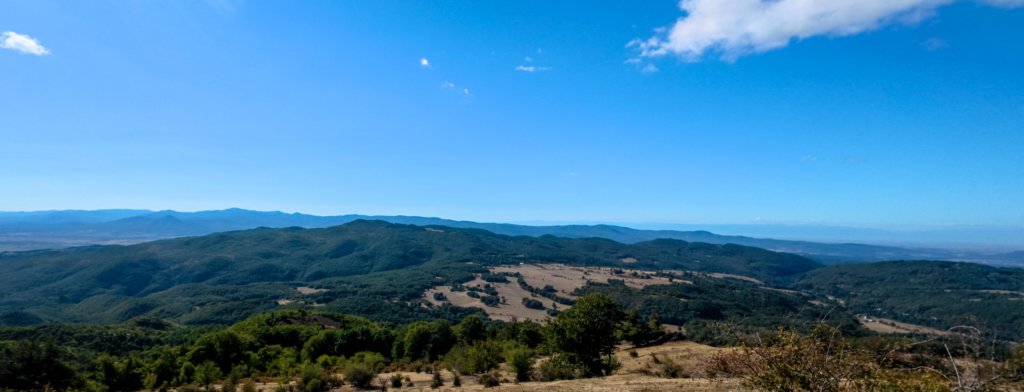 photo2.jpg