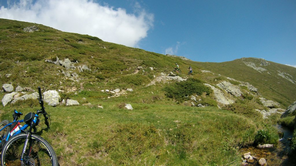 photo125.jpg