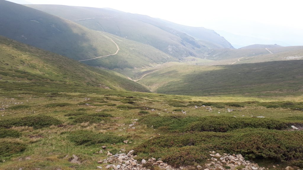 photo44.jpg