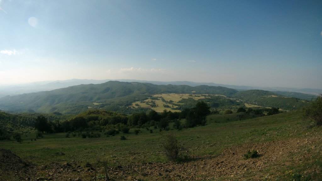 photo7.jpg