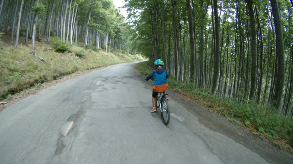 photo9.jpg