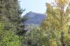 photo95_small.jpg