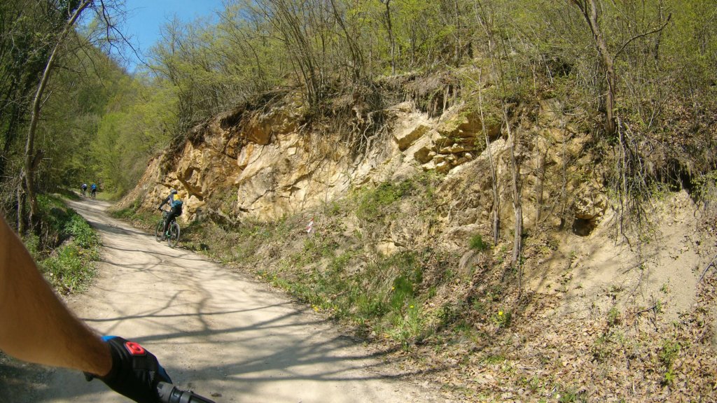 photo15.jpg