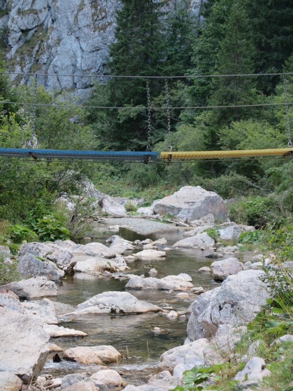 cheilezanoagei10.jpg