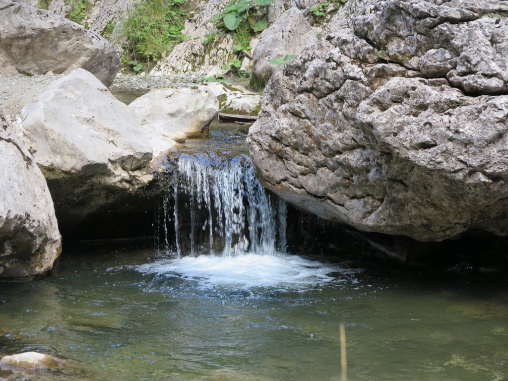 cheilezanoagei6.jpg