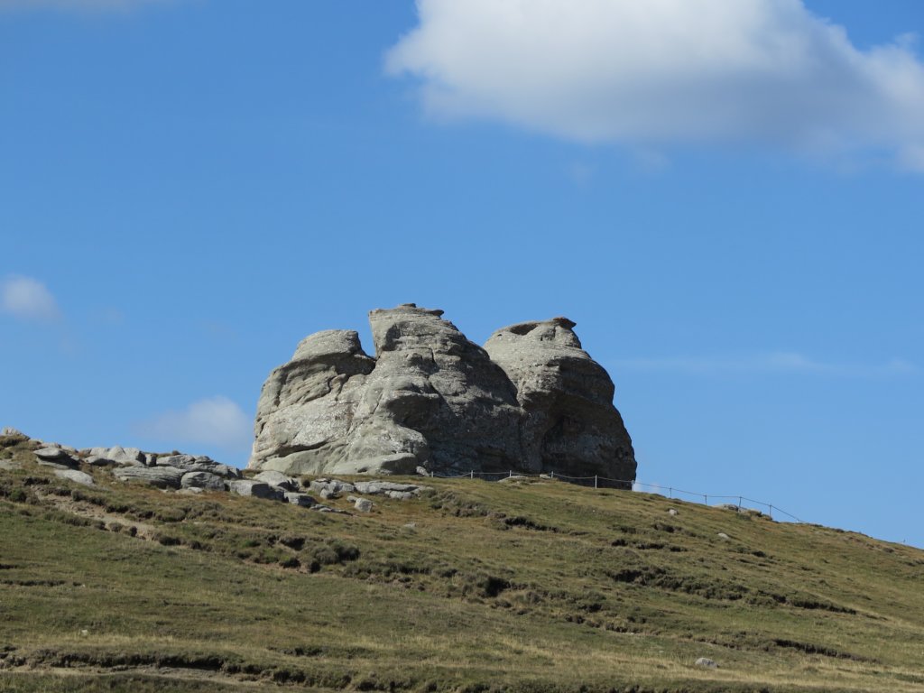 photo18.jpg