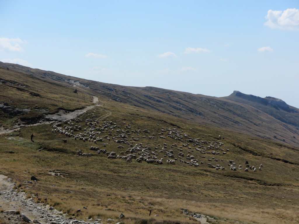 photo26.jpg