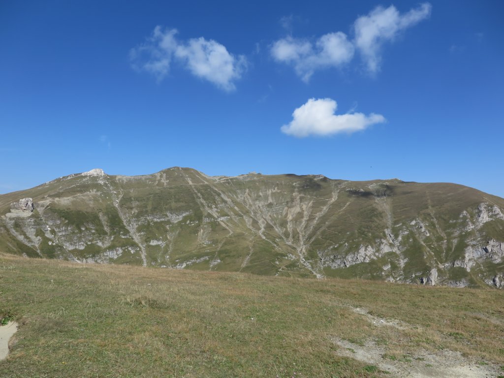 photo29.jpg