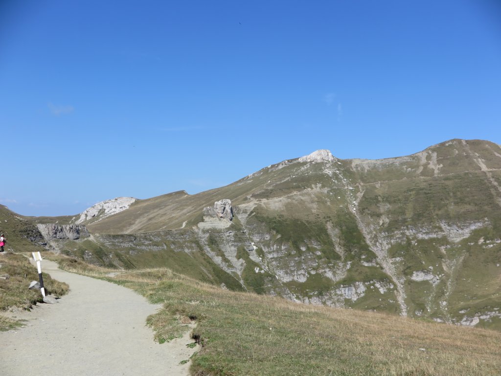 photo31.jpg