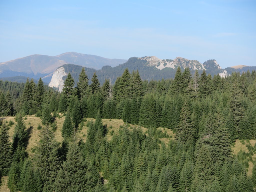 photo9.jpg
