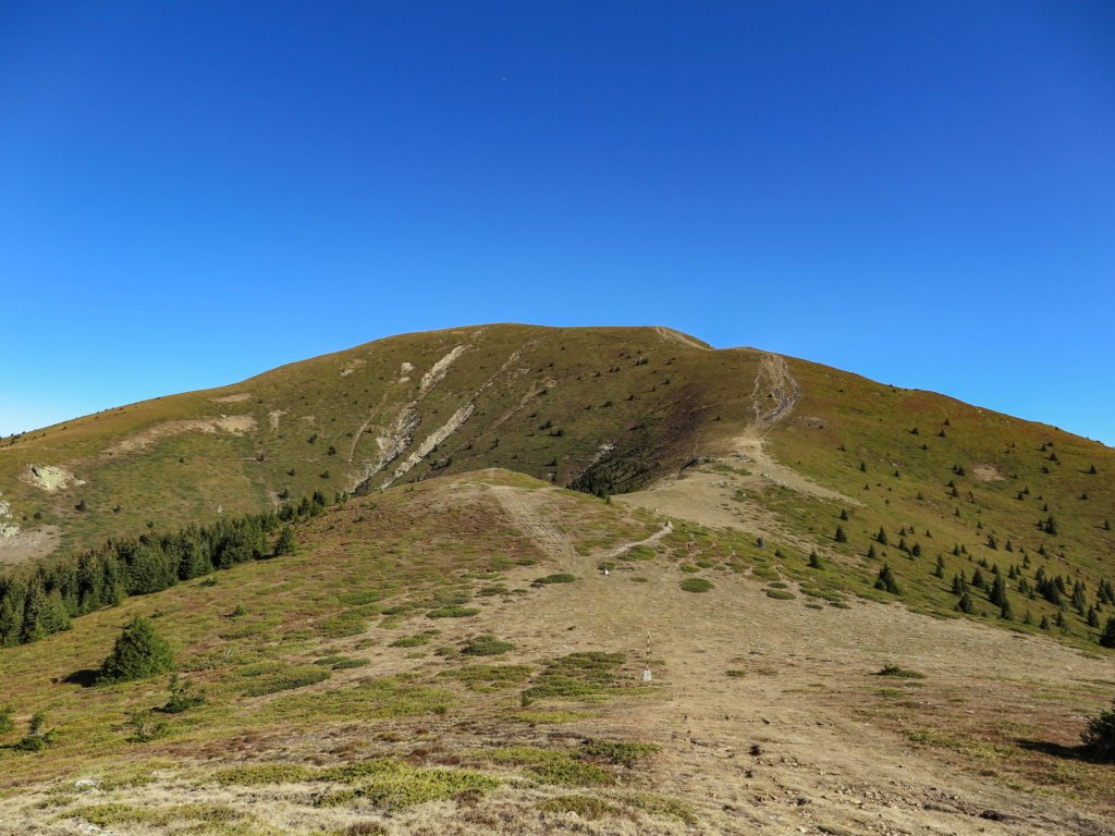 photo13.jpg